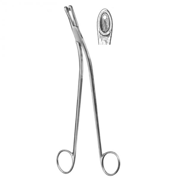 Gelhorn Biopsy  Punch