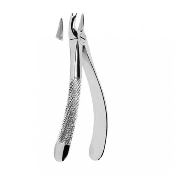 Upper Molars, Left