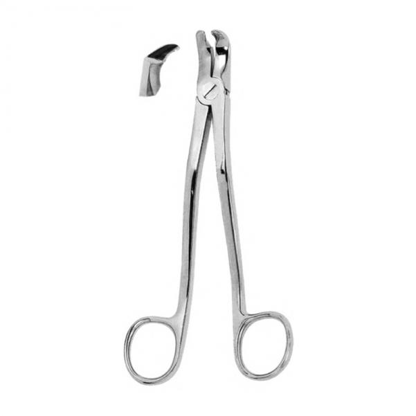 Extracting Forceps