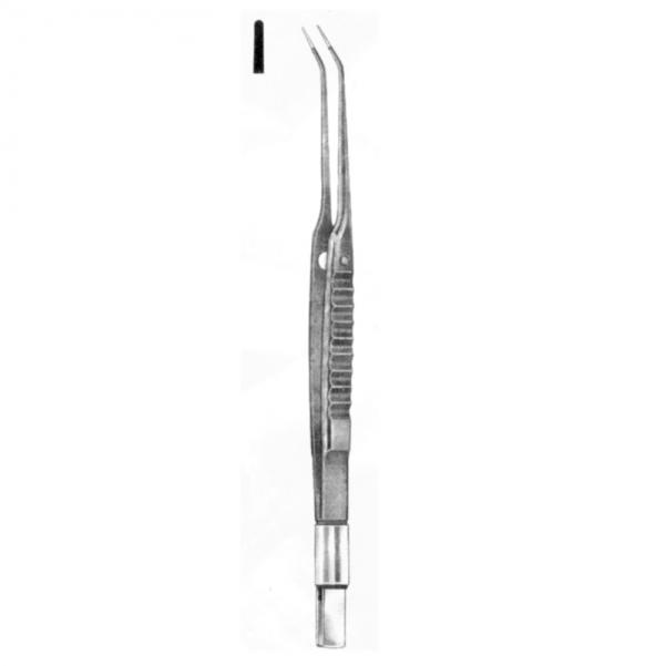 Hand Surgery, Ophtalmology, Plastic Surgery, Experimental Surgery
